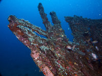 Sabang Wreck [ 48 images ]